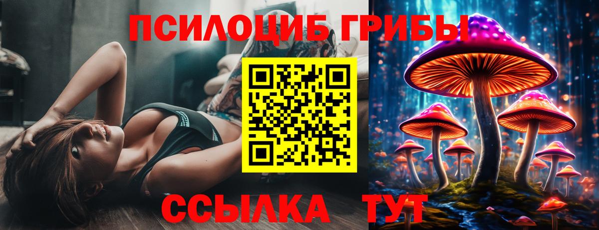 Псилоцибиновые грибы мухоморы  Вход с VPN  Чехов 